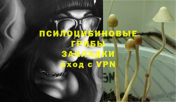 метадон Инсар