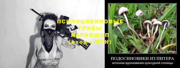 спайс Иннополис