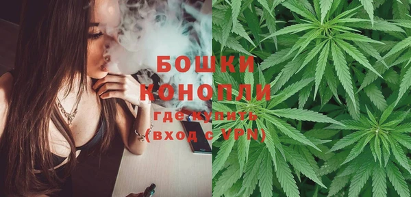 метадон Инсар